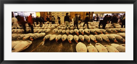 Framed Tuna auction at a fish market, Tsukiji Fish Market, Chuo Ward, Tsukiji, Tokyo Prefecture, Kanto Region, Honshu, Japan Print