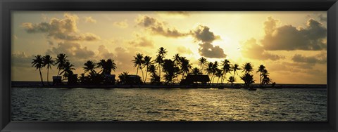 Framed Silhouette of palm trees on an island at sunset, Laughing Bird Caye, Victoria Channel, Belize Print