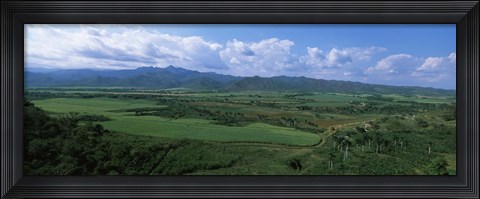 Framed High angle view of sugar cane fields, Cienfuegos, Cienfuegos Province, Cuba Print