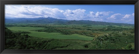 Framed High angle view of sugar cane fields, Cienfuegos, Cienfuegos Province, Cuba Print