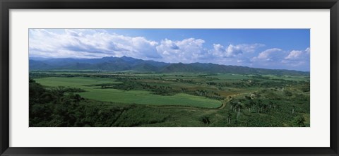 Framed High angle view of sugar cane fields, Cienfuegos, Cienfuegos Province, Cuba Print