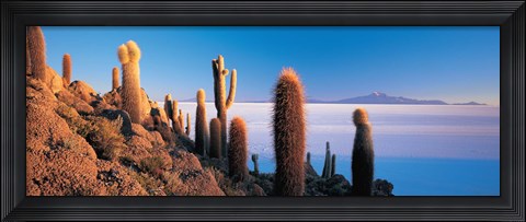 Framed Cactus on a hill, Salar De Uyuni, Potosi, Bolivia Print