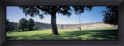 Framed Tree in front of a building, Royal Crescent, Bath, England Print