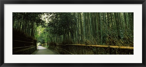 Framed Road passing through a bamboo forest, Arashiyama, Kyoto Prefecture, Kinki Region, Honshu, Japan Print