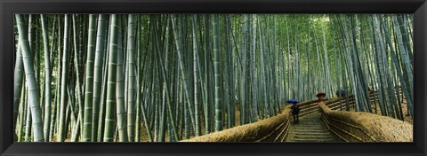 Framed Stepped walkway passing through a bamboo forest, Arashiyama, Kyoto Prefecture, Kinki Region, Honshu, Japan Print