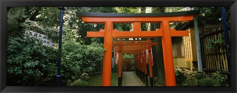 Framed Torii Gates in a park, Ueno Park, Taito, Tokyo Prefecture, Kanto Region, Japan Print