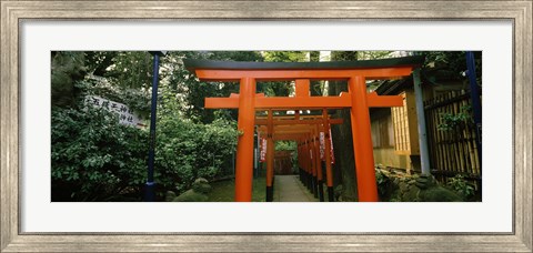 Framed Torii Gates in a park, Ueno Park, Taito, Tokyo Prefecture, Kanto Region, Japan Print