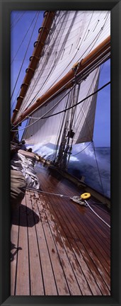 Framed Sailboat in the sea, Antigua (vertical) Print