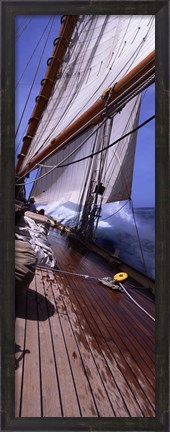 Framed Sailboat in the sea, Antigua (vertical) Print