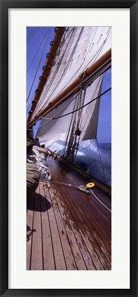 Framed Sailboat in the sea, Antigua (vertical) Print