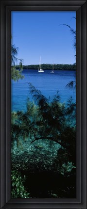 Framed Sailboats in the ocean, Kingdom of Tonga, Vava&#39;u Group of Islands, South Pacific Print