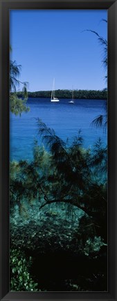 Framed Sailboats in the ocean, Kingdom of Tonga, Vava&#39;u Group of Islands, South Pacific Print