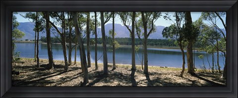 Framed dam on a farm in Hermon, South Africa Print