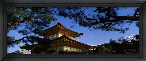 Framed Low angle view of trees in front of a temple, Kinkaku-ji Temple, Kyoto City, Kyoto Prefecture, Kinki Region, Honshu, Japan Print