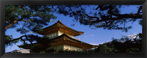 Framed Low angle view of trees in front of a temple, Kinkaku-ji Temple, Kyoto City, Kyoto Prefecture, Kinki Region, Honshu, Japan Print