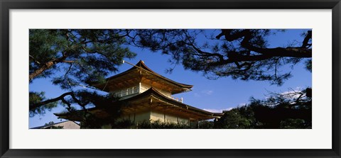 Framed Low angle view of trees in front of a temple, Kinkaku-ji Temple, Kyoto City, Kyoto Prefecture, Kinki Region, Honshu, Japan Print