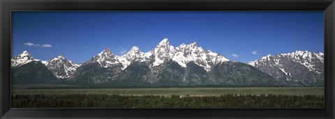 Framed Trees in a forest with mountains in the background, Teton Point Turnout, Teton Range, Grand Teton National Park, Wyoming, USA Print