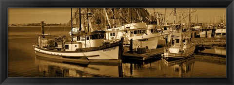 Framed Fishing boats in the sea, Morro Bay, San Luis Obispo County, California, USA Print