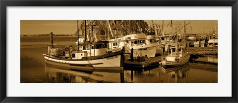 Framed Fishing boats in the sea, Morro Bay, San Luis Obispo County, California, USA Print