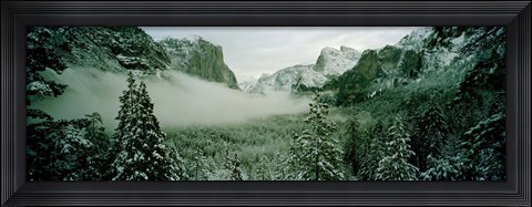 Framed Trees in a forest, Yosemite National Park, Mariposa County, California, USA Print
