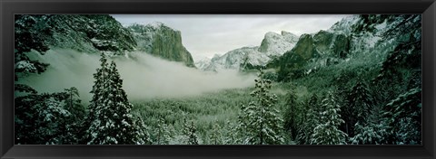 Framed Trees in a forest, Yosemite National Park, Mariposa County, California, USA Print