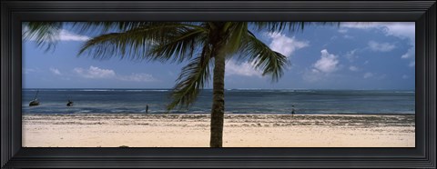Framed Palm tree on the beach, Malindi, Coast Province, Kenya Print