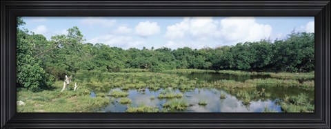 Framed Reflection of clouds in water, Watamu Marine National Park, Watamu, Coast Province, Kenya Print