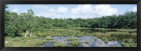 Framed Reflection of clouds in water, Watamu Marine National Park, Watamu, Coast Province, Kenya Print