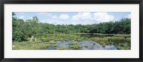 Framed Reflection of clouds in water, Watamu Marine National Park, Watamu, Coast Province, Kenya Print