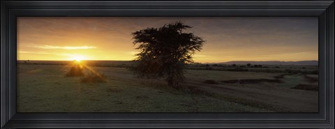 Framed Sunset over a landscape, Masai Mara National Reserve, Great Rift Valley, Kenya Print