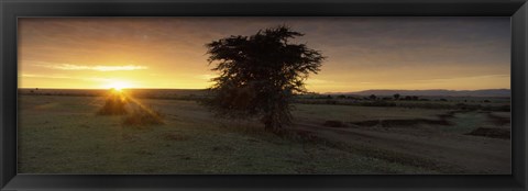 Framed Sunset over a landscape, Masai Mara National Reserve, Great Rift Valley, Kenya Print