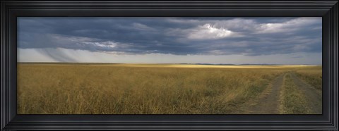 Framed Dirt road passing through a meadow, Masai Mara National Reserve, Great Rift Valley, Kenya Print