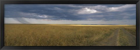 Framed Dirt road passing through a meadow, Masai Mara National Reserve, Great Rift Valley, Kenya Print