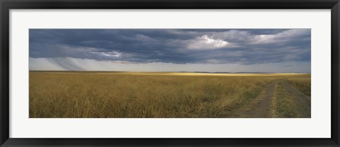 Framed Dirt road passing through a meadow, Masai Mara National Reserve, Great Rift Valley, Kenya Print