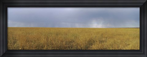 Framed Clouds over a meadow, Masai Mara National Reserve, Great Rift Valley, Kenya Print