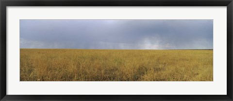 Framed Clouds over a meadow, Masai Mara National Reserve, Great Rift Valley, Kenya Print