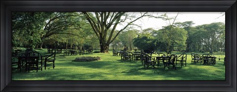 Framed Chairs and tables in a lawn, Lake Naivasha Country Club, Great Rift Valley, Kenya Print