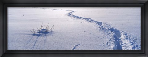 Framed Track on a snow covered landscape, Apennines, Emilia-Romagna, Italy Print