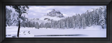 Framed Trees along a frozen lake, Lake Antorno, Tre Cime Di Lavaredo, Dolomites, Cadore, Province of Belluno, Veneto, Italy Print