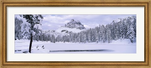 Framed Trees along a frozen lake, Lake Antorno, Tre Cime Di Lavaredo, Dolomites, Cadore, Province of Belluno, Veneto, Italy Print