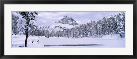 Framed Trees along a frozen lake, Lake Antorno, Tre Cime Di Lavaredo, Dolomites, Cadore, Province of Belluno, Veneto, Italy Print