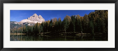 Framed Trees at the lakeside, Lake Misurina, Tre Cime Di Lavaredo, Dolomites, Cadore, Province of Belluno, Veneto, Italy Print
