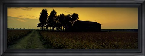 Framed Silhouette of a farmhouse at sunset, Polesine, Veneto, Italy Print