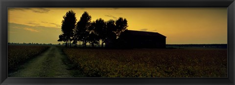 Framed Silhouette of a farmhouse at sunset, Polesine, Veneto, Italy Print