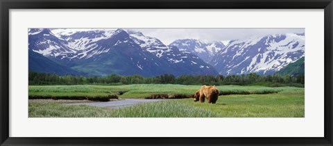 Framed Kukak Bay, Katmai National Park, Alaska Print