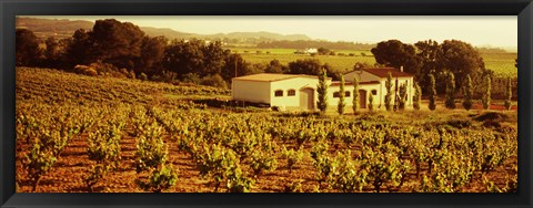 Framed Farmhouses in a vineyard, Penedes, Catalonia, Spain Print