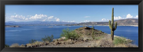 Framed Cactus at the lakeside with a mountain range in the background, Lake Pleasant, Arizona, USA Print