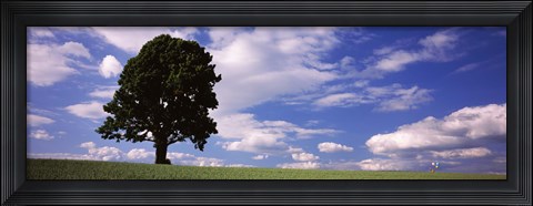 Framed Tree in a field with woman walking along with balloons, Baden-Wurttemberg, Germany Print