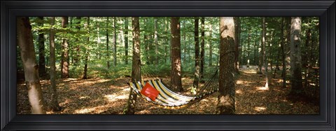 Framed Hammock in a forest, Baden-Wurttemberg, Germany Print