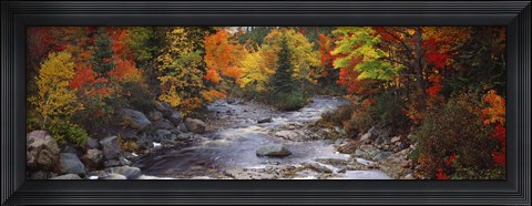 Framed Stream with trees in a forest in autumn, Nova Scotia, Canada Print